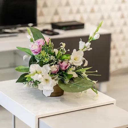 Attila Luxury Apartman Szeged